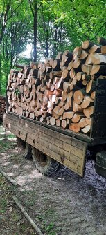 Palivove drevo buk - 3