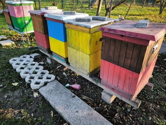 Včelstvo, včely, kompletné príslušenstvo včelára - 3