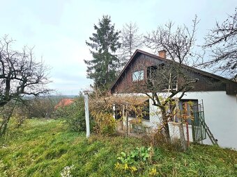 Viničný dom s vinicou Staré Predné Levice - 3