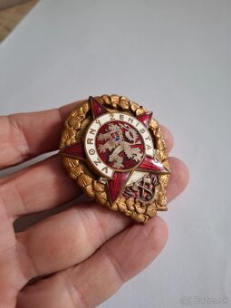 Odznak Vzorný ženista - 3