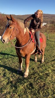 Kobyla s miliónovou povahou - 3