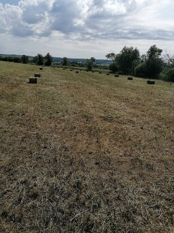 Lucerka a lúčne seno - 3