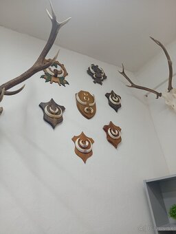 Parozie trofeje zhody - 3