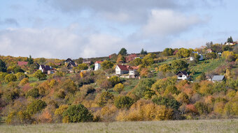 Pozemok(440m2),v katastrál. úz. Pukanec -na predaj - 3