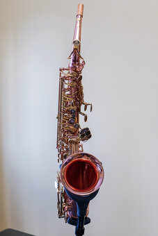 Alt saxofón Buffet Crampon Senzo - 3