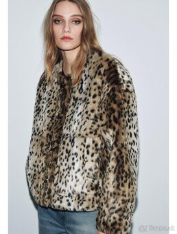 Kozuch Zara c. S - 3