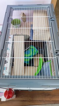 Nová Klietka pre morča/králika Zolux Neo s komplet vybavením - 3
