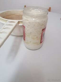 Tibetská huba-kefirové zrna - 3