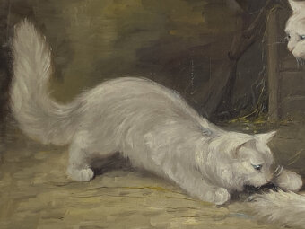 Obraz Mačky olej na plátne - 3