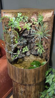 Paludarium - 3