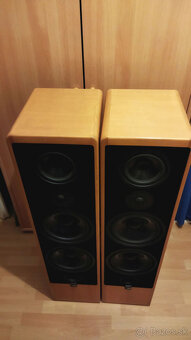 CANTON Ergo 91 DC - 3