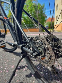 Specialized Rockhopper 29 - 3