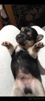 Darujem za symbolickú cenu alebo zadarmo - 3