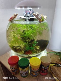 Sklenena Gula pre rybky...krevety. - 3