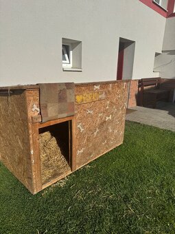 Psia búda - 3