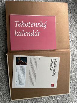 Sprievodca tehotenstvom - 3