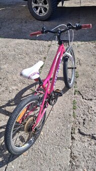 Detský bicykel 20 - 3