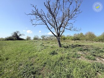 HALO reality - Predaj, záhradný pozemok 860 m2 Rybník - 3