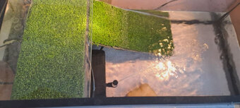 Korytnačka +Akvárium 60x30 + lampa +ohrievač +ilter + krmivo - 3