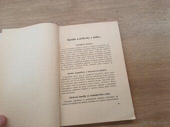 Príprava múčnikov ovocia a zeleniny cca rok 1945 - 3