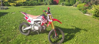 Pitbike WPB Race 140 - 3