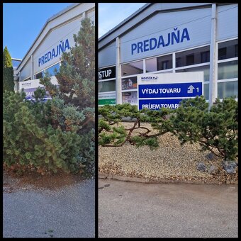 Kosenie pozemkov - 3