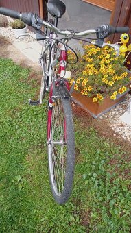 Predám dámsky  bicykel dema - 3