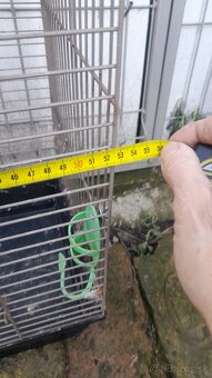 Klietka pre papagája 25eur - 3