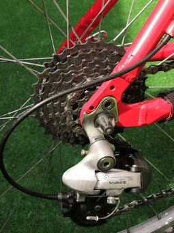 Horsky bike Author - 3