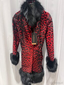 Kabat B-red rakoon leopard - 3