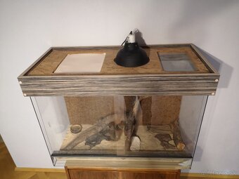 Terarium 100cmx75cmx45cm - 3