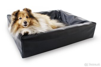 PELECH PRE PSA BIA BED 50 x 60 cm modrý - 3