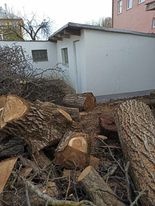 Orechove drevo(vhodné na dosky) - 3
