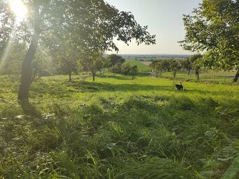 Na predaj pozemok Skalica -Vrádište - 3