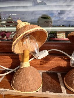 Predam  kokosové  lampicky. - 3