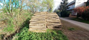 Predam agatove koly stlpy zrde - 3