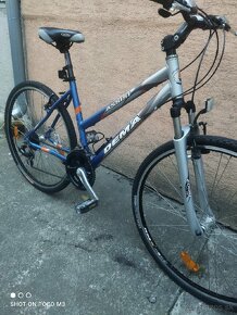 Trekingovy bicykel Dema Assisi - 3