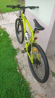 CTM REIN 3.0 29 - XL, 29 matná limetková perleť - 3