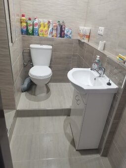 Prenájom 1 izbového bytu - 3