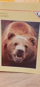 Encyklopédia zvierat - 3