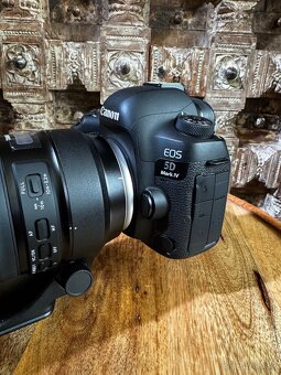 Canon EOS 5D Mark IV + Tamron for Canon SP 150-600 mm F/5-6. - 3