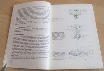 Kočovanie so včelstvami - 3