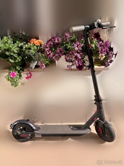 Xiaomi mi Scooter 2 - 3