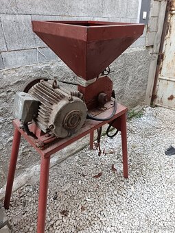 Kladivkovy srotovnik - 3