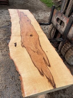 JASEŇOVÉ REZIVO OLIVE ASH / Očkové drevo / Live edge - 3