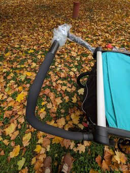 Thule chariot lite 2 - 3