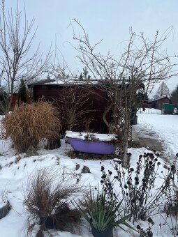 Ponúkame na predaj záhradku - 3