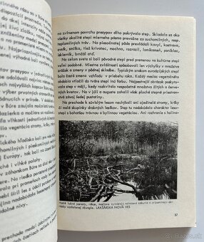 Cagáň: SLOVENSKÁ LESOPÚŠŤ - 3