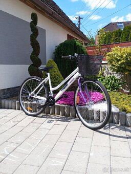 Dámsky bicykel - 3