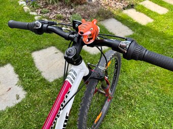 detsky bike Author 26 - 3
